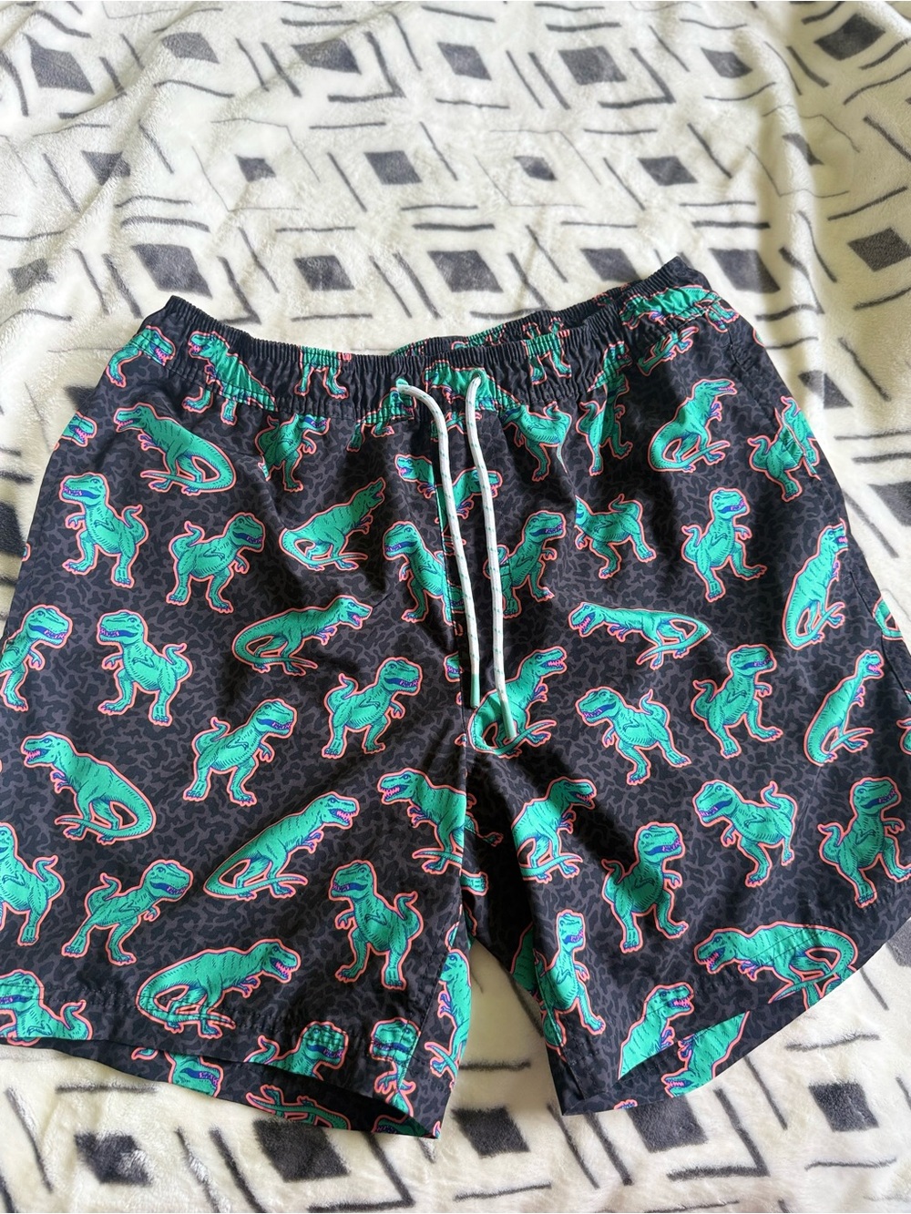 Men's Black Swim Shorts with Teal Dino Print